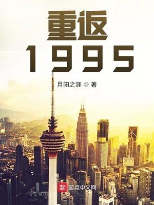 重返1995封面